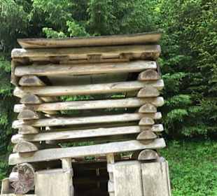 Phäno-Pfad Aichstetten