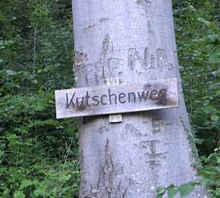 Burgruine Andeck Talheim