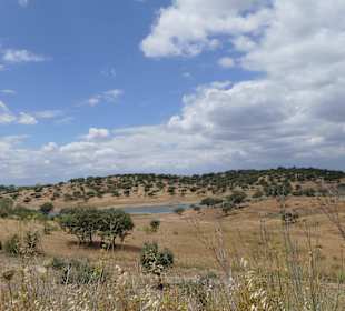 Alentejo & Alqueva