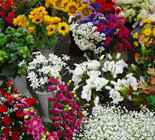 Rundgang über den Meraner Freitagsmarkt