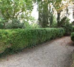 Burg Meersburg