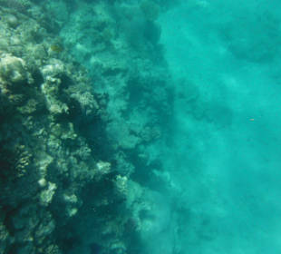 Hausriff, rechts von der Marina