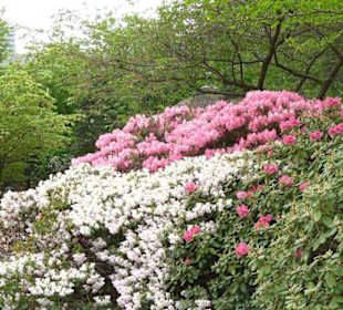 Planten und Bloomen Freizeitpark