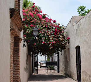 Stadtrundfahrt Santo Domingo