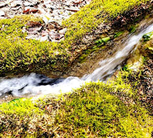 Da kommt das Wasser geschossen