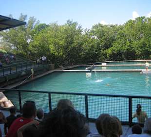 Miami Seaquarium