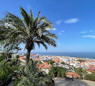 Wandern Puerto de la Cruz