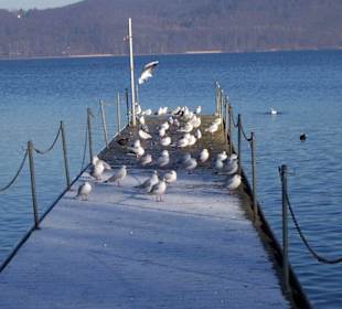 Kalter Wintertag am See
