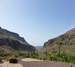 Platz der Raubvogelshow