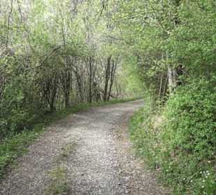 Wanderweg Firstwaldrunde