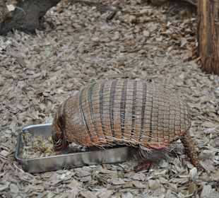 Zoo Dortmund