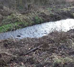 Schönbuch Schaichtal