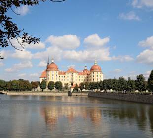 Schloss Moritzburg