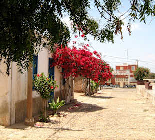 Dorf Joao Galego