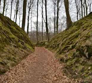 Wandern Binz auf Rügen