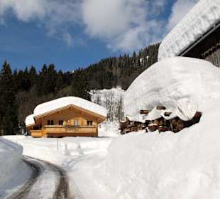 Schlittenfahrt im Allgäu