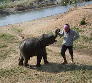 Ich will aber spielen