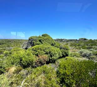 Rottnest Island