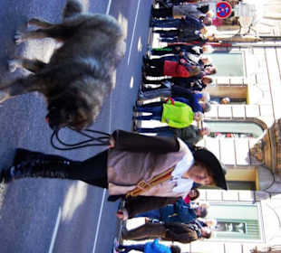 Wallenstein Festspielverein Altdorf