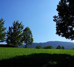 Kurpark mit Alpenpanorama