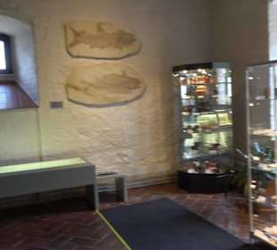 Archäologisches Museum