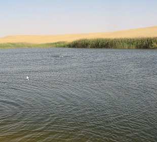 Ein See mit Salzwasser in der Wüste