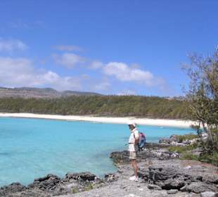 Roches déchiquetées et la plage fumier