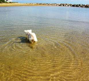 Ende September 2010 Inspirationen