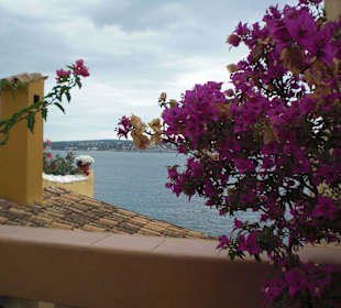 Cala Fornells/ Paguera