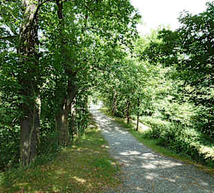 Weg zum Sophienpavillon