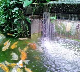 Palmiarnia Poznańska