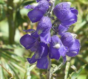 Wanderung am Nebelhorn