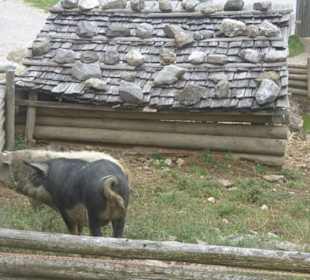 Interessantes Museum