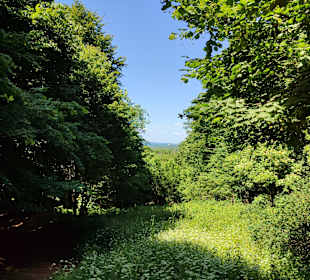 Blick vom Parkplatz Hohe Sonne zur Wartburg