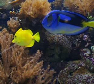 Allwetterzoo Münster