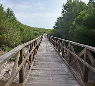 Wandern Can Picafort