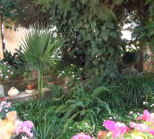 Museum Frédéric Chopin und George Sand