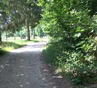 Waldlehrpfad St. Johann