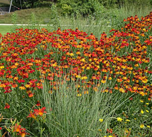 Impressionen aus dem Park der Gärten