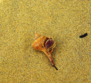 Ende September 2010 Inspirationen