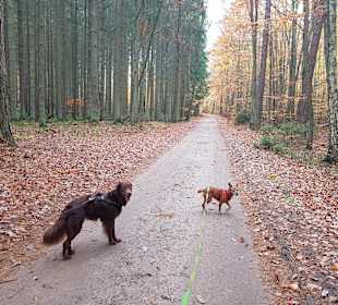 Wandern Zwenzow