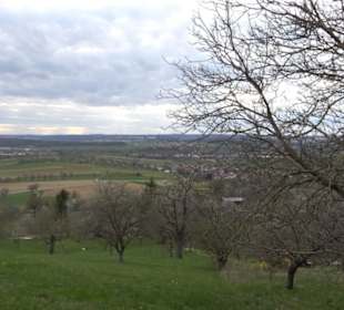 Der Grafenberg