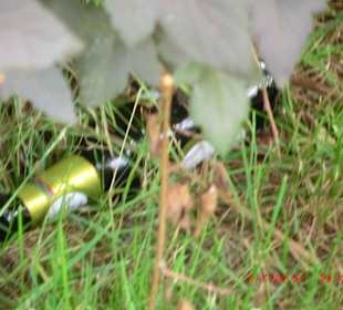 Müll im Garten
