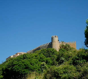Blick zur Burg