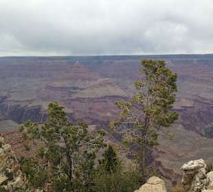 Grand Canyon