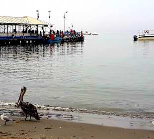 Stadtrundgang Paracas