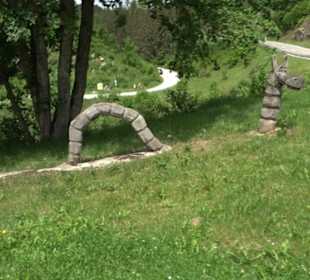 Phäno-Pfad Aichstetten