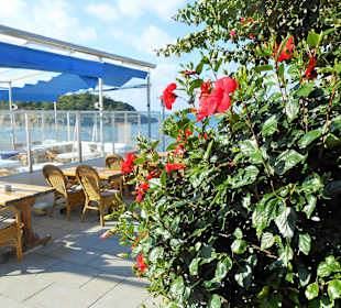 Restaurant am Meer