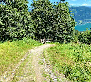 Wandern Zell am See