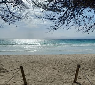 Strand Alcudia